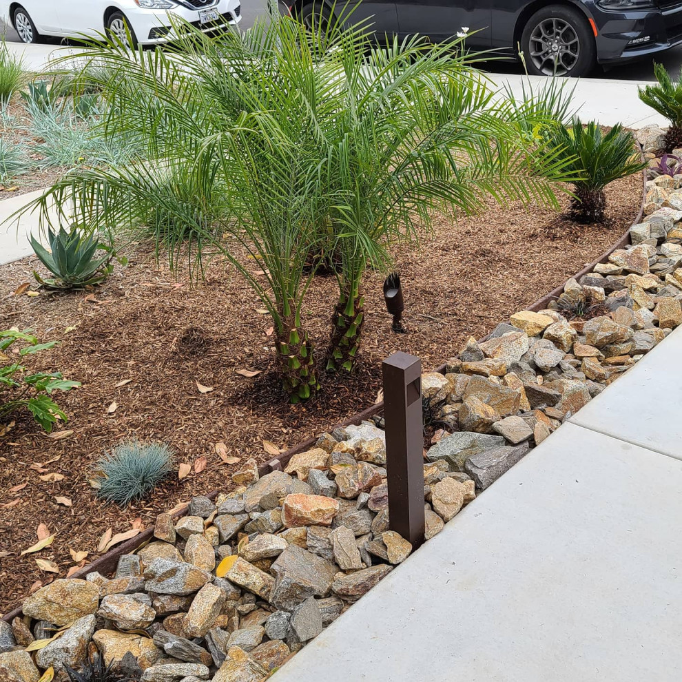 Photo of a small tropical drought-tolerant and full sun front yard mulch flower bed in San Diego for summer.