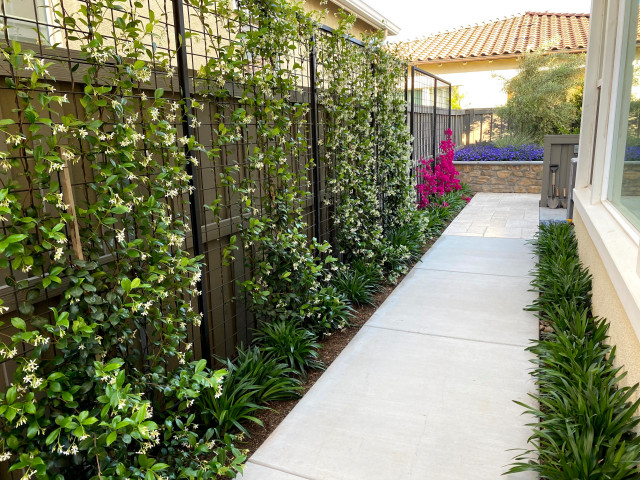 Mediterranean Davis Backyard Mediterranean Garden Sacramento By 