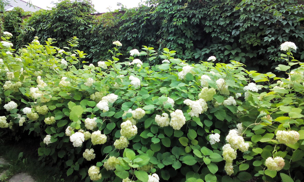 Сад, в котором живет вдохновение