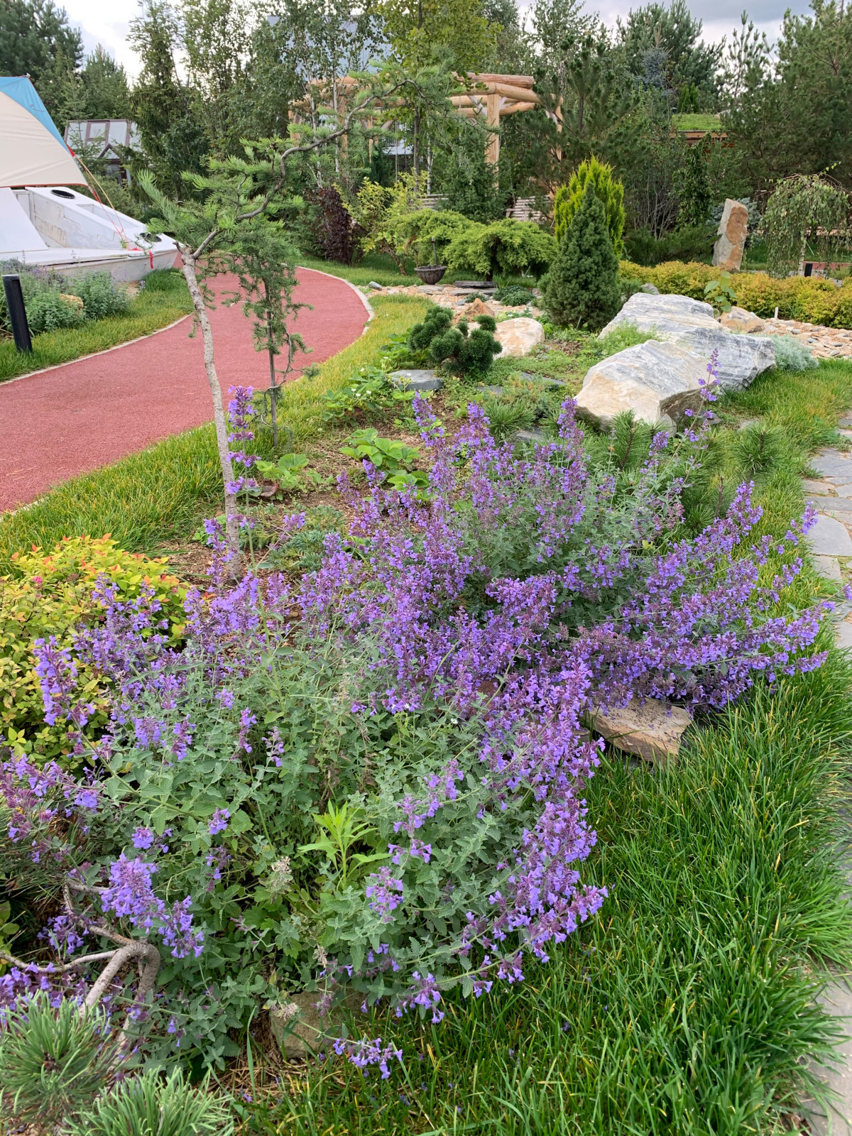 Территория удовольствий.Частный сад.