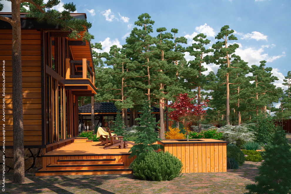 Утро в сосновом лесу