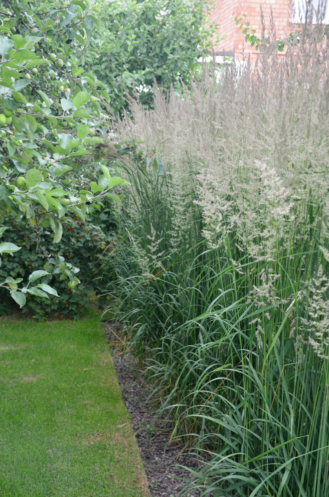 Звенящие шаги