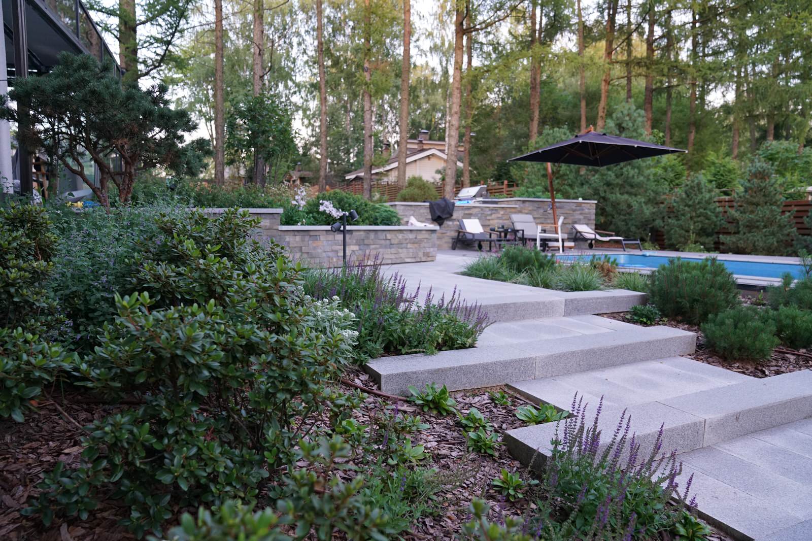 Альпийская история. Астрецово. 2021-22