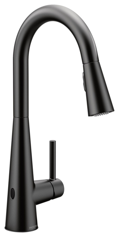 Moen Pure Touch Classic Kitchen Faucet