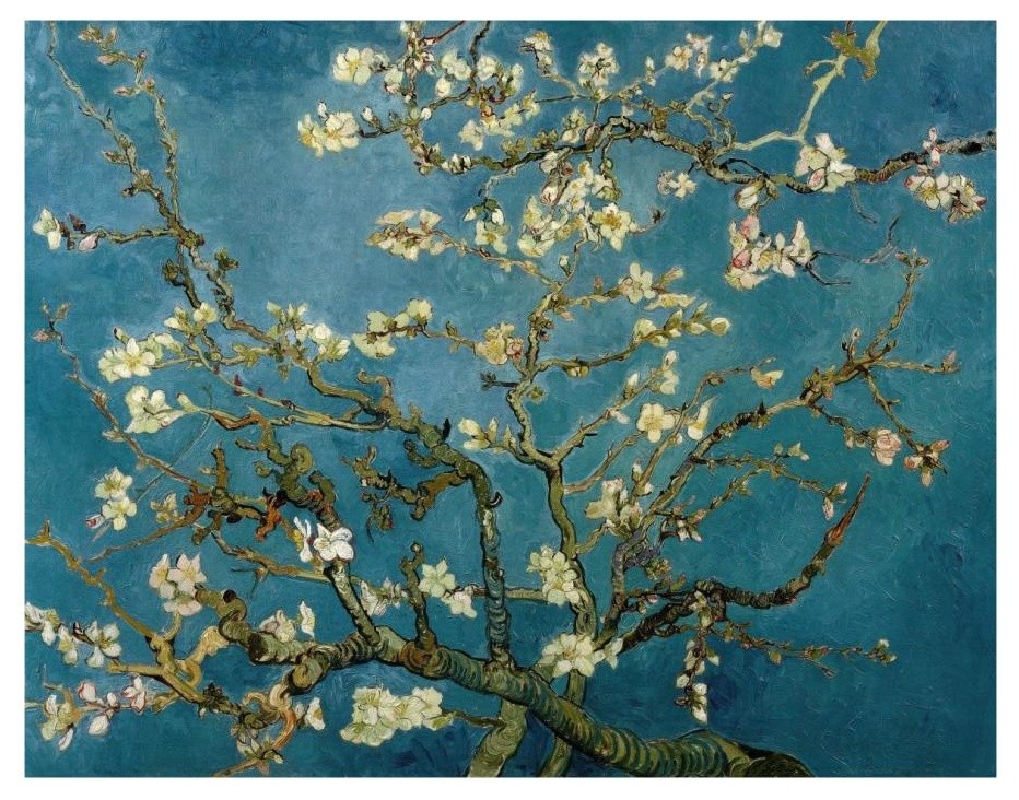 "Blossoming Almond Tree" Digital Paper Print by Vincent Van Gogh, 18"x14"