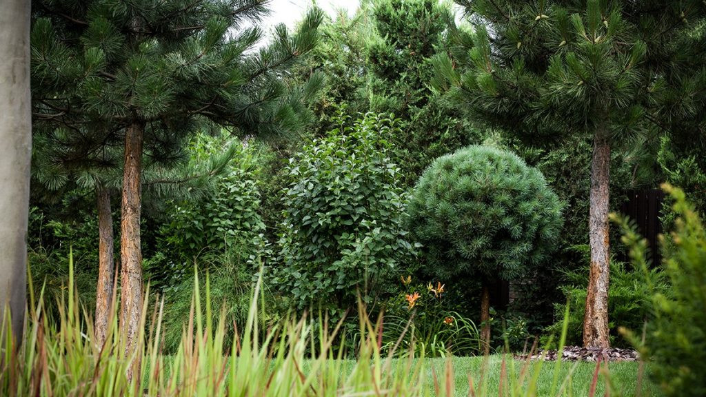 Частное домовладение