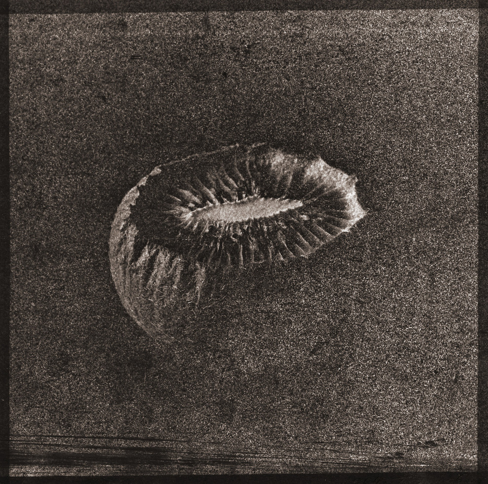 Авторские работы