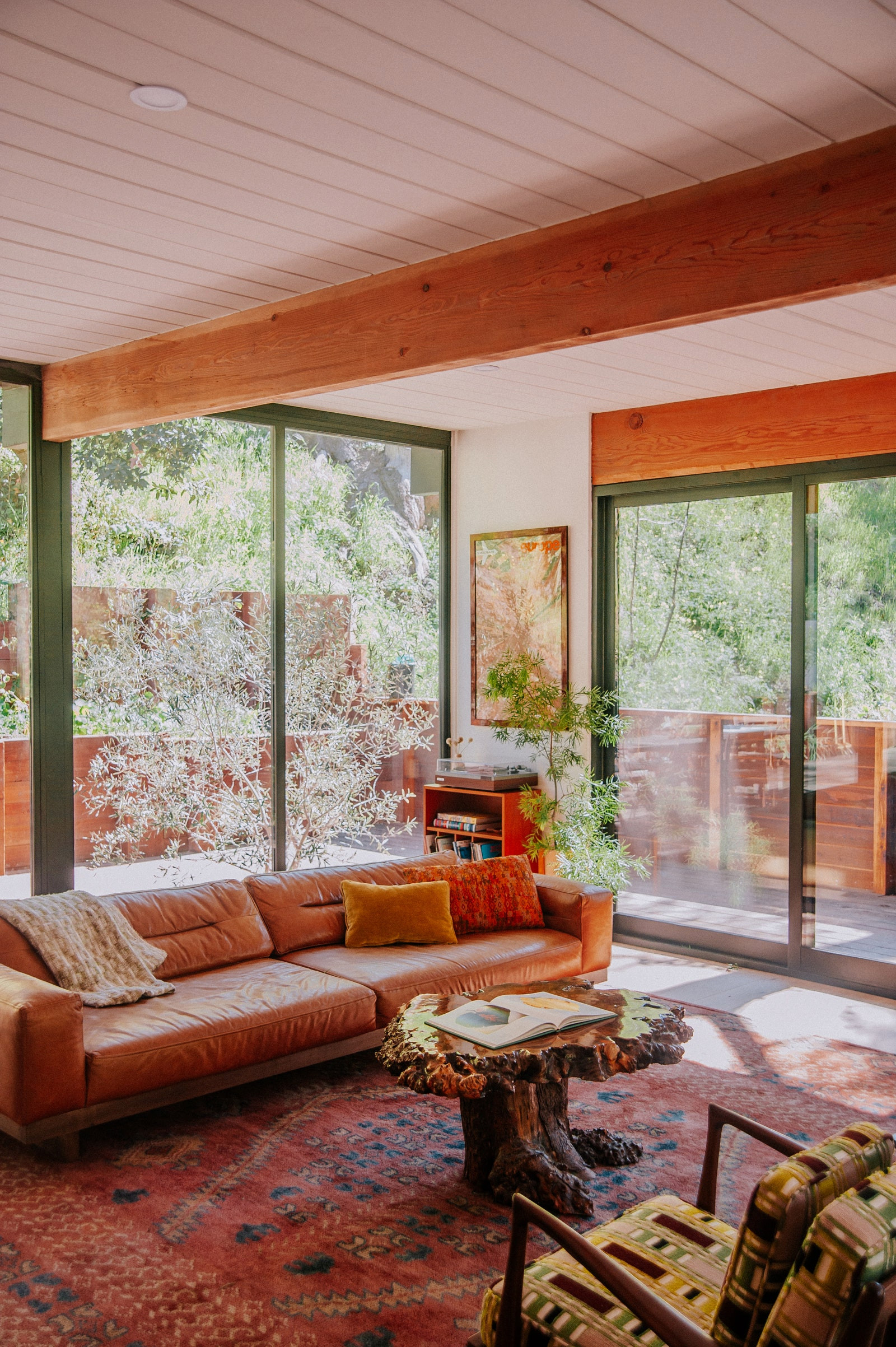 Mandeville Canyon Mid-Century Treehouse