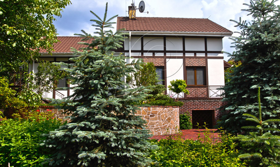 Семейное гнездо