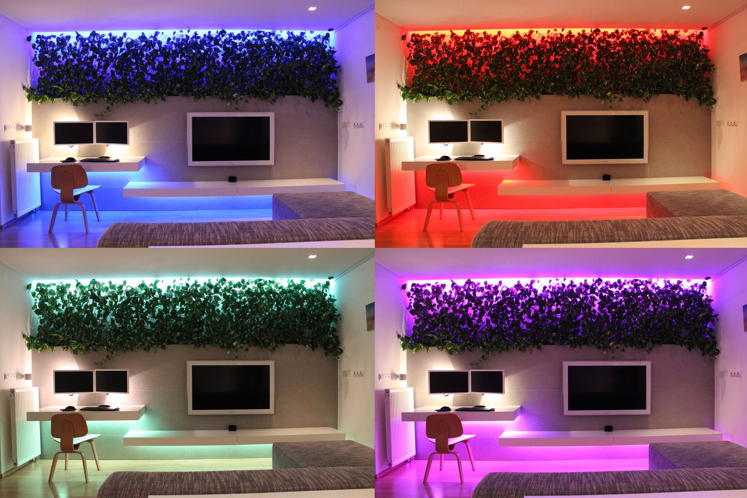 My Houzz: LEDs and a Living Wall Color a Minimalist Slovakian Home