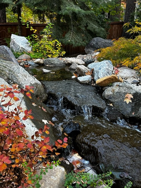 Tahoe Living