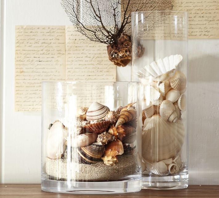 Beach Shell Vase Filler