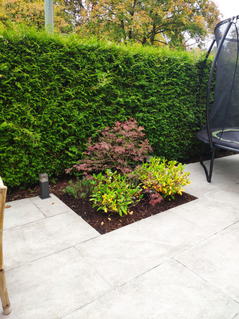 Rasen-Frei contemporary-garden