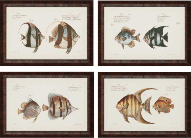 Antique Fish PK/4 - Framed Art