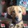 latisha_powell_karns