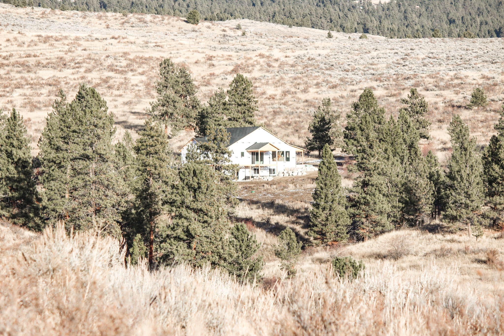 Orcutt Home