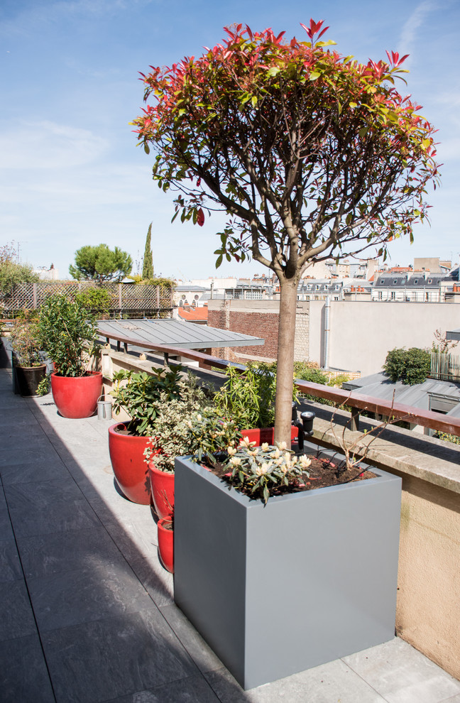 Inspiration for a mid-sized modern balcony in Paris with a container garden, no cover and wood railing.