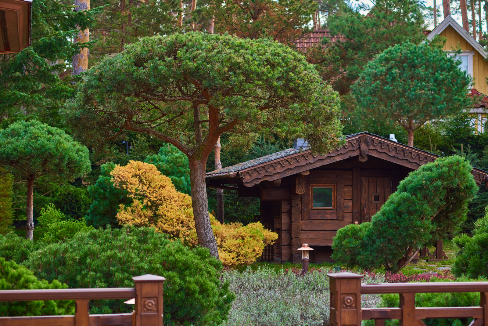 Сад в средиземноморском стиле в коттеджном поселке «Барвиха»