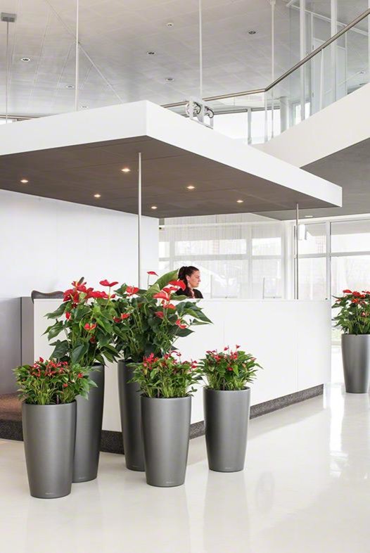 Уникальные и элегантные