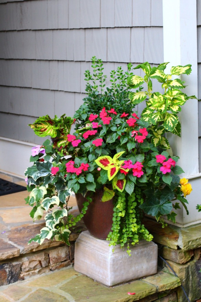 Potted Gardens