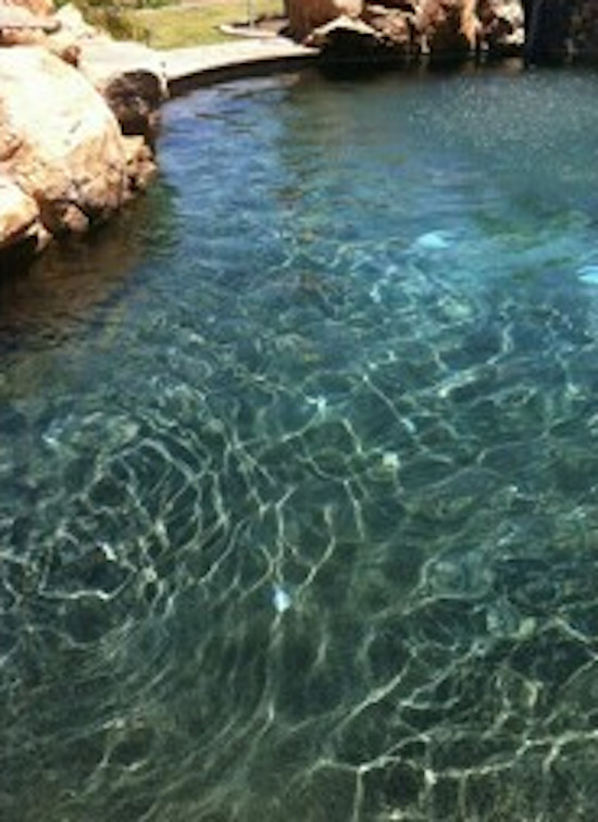 Example of a backyard kidney-shaped natural pool design in Phoenix