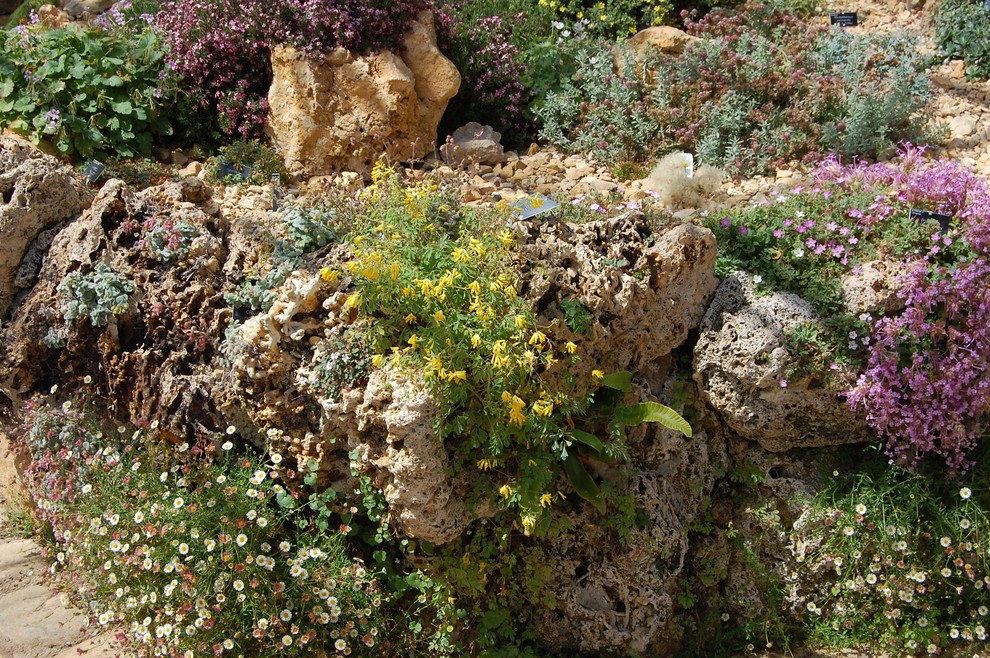 Наши статьи: "Сад пяти чувств". Фото 7