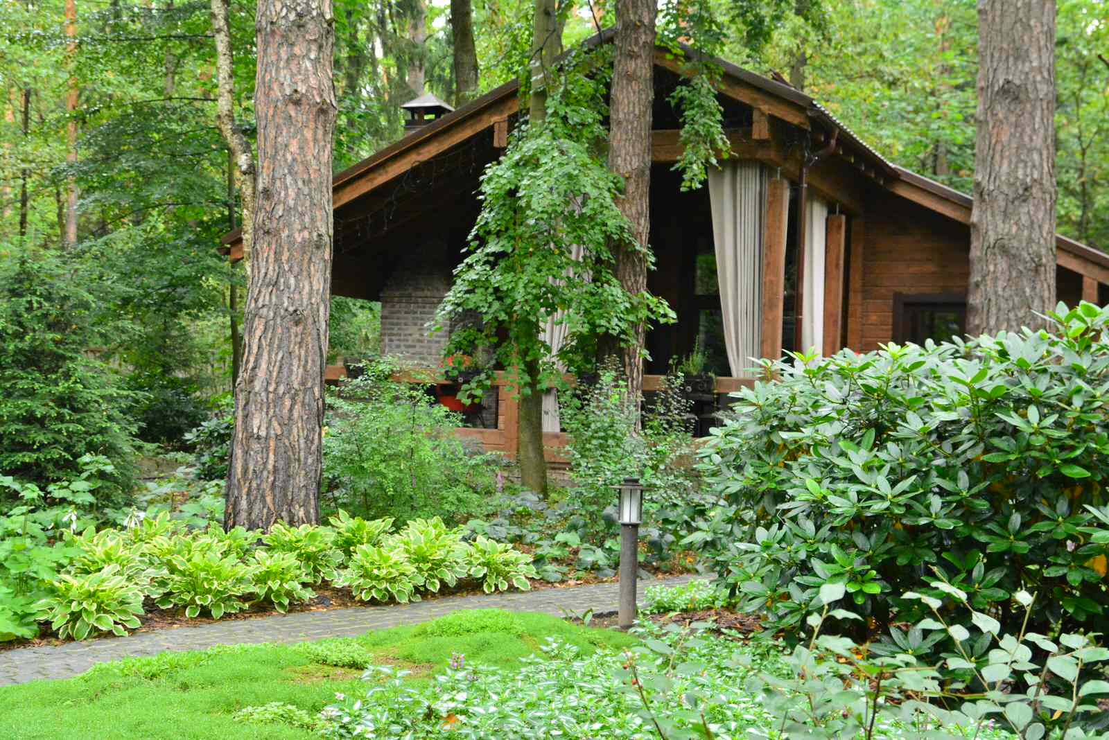 Заповедный бор