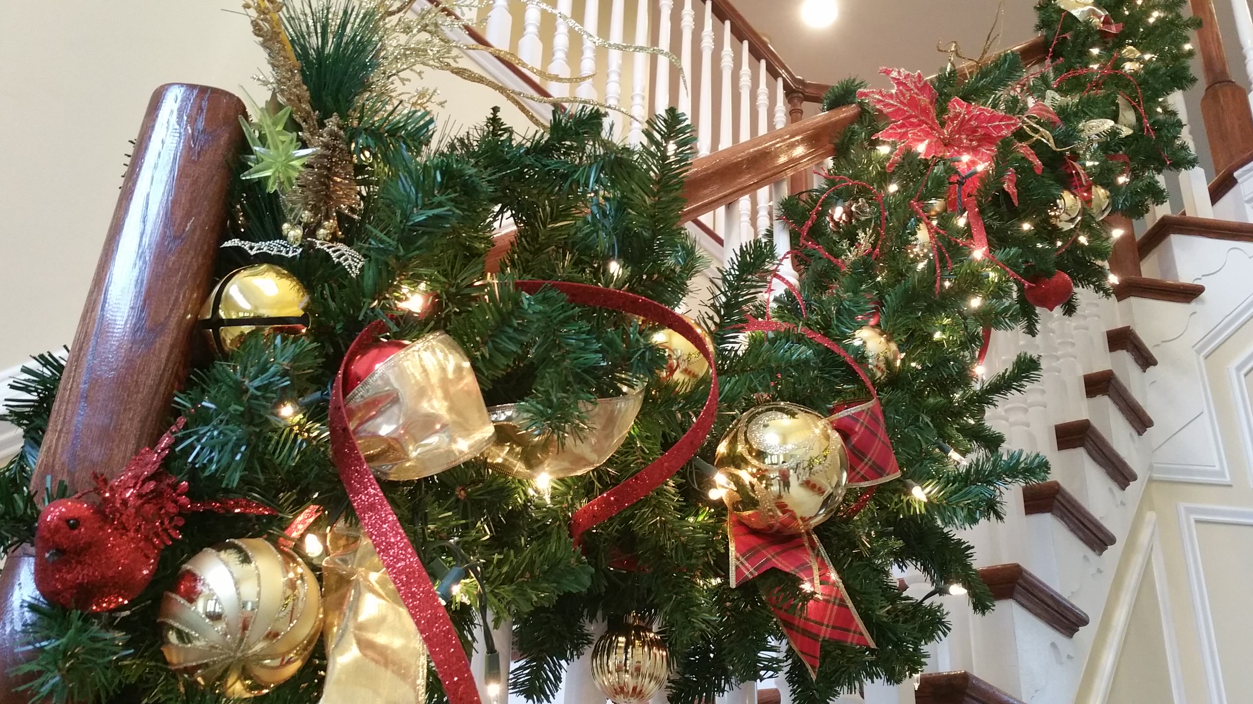 The love of Christmas!