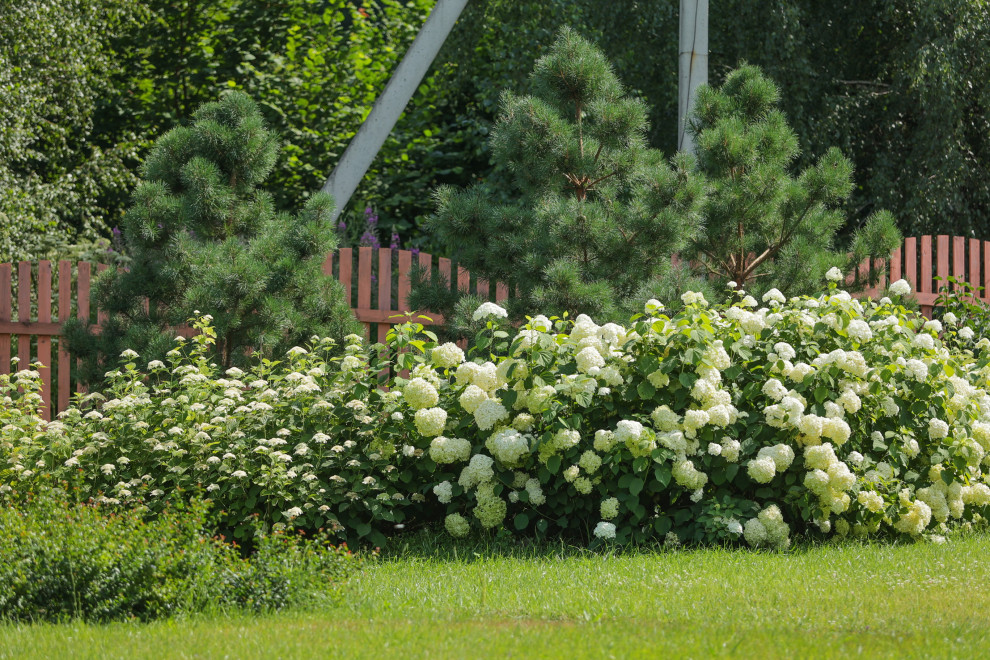 Якшино. Осень 2019