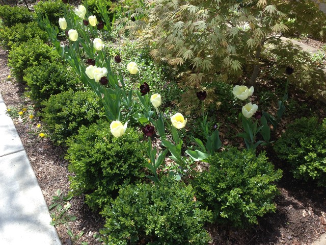 Our Work american-traditional-garden