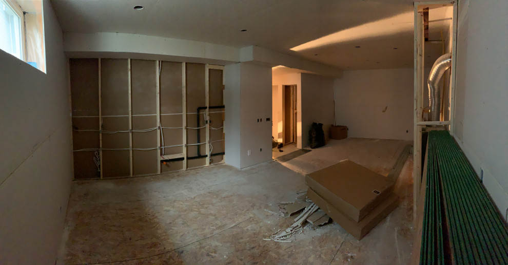 Basement Development