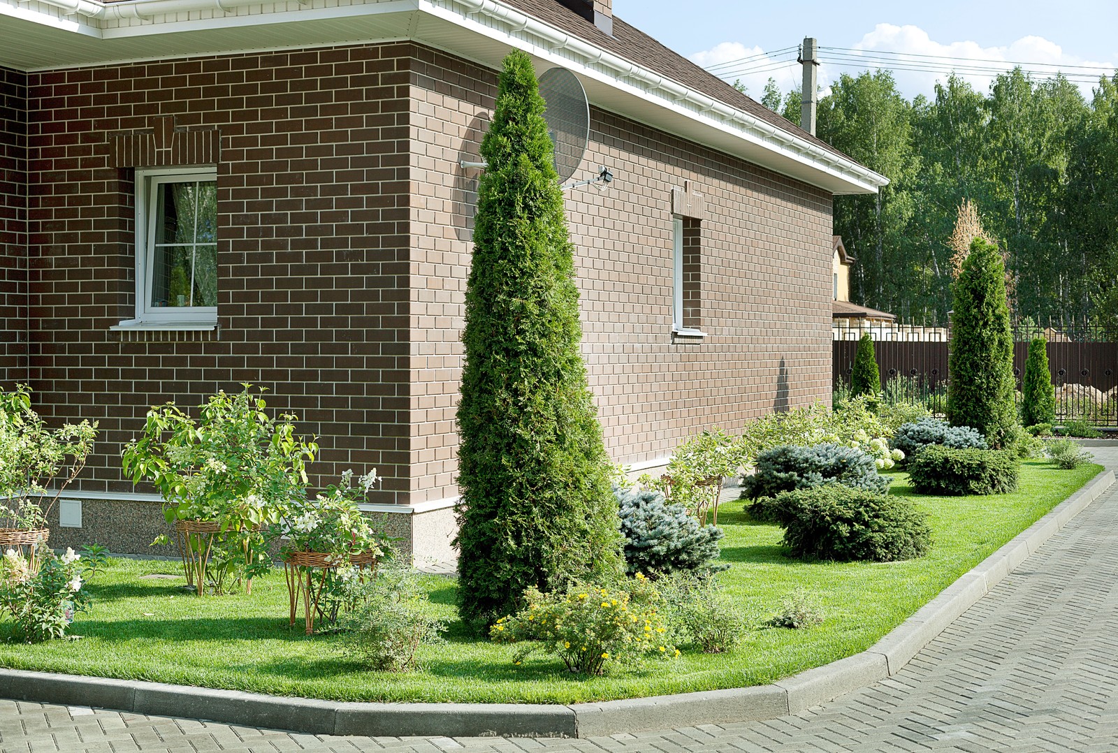 Вавиловец 1