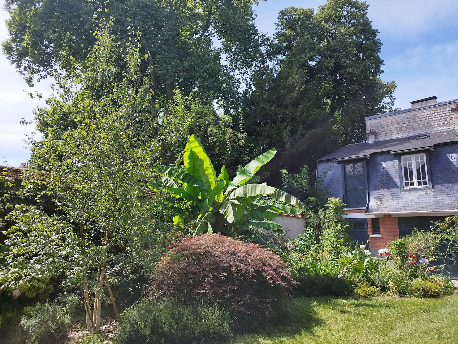 Les limites du jardin s'estompent derrière un massif généreux