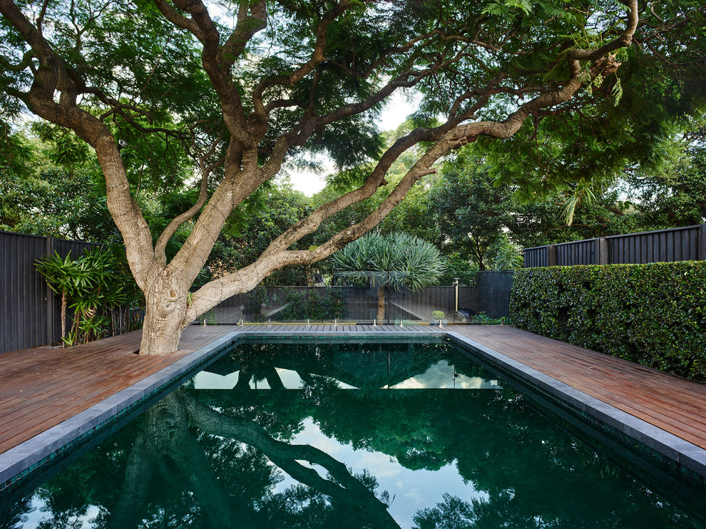 Design ideas for a large contemporary backyard rectangular lap pool in Sydney with decking.