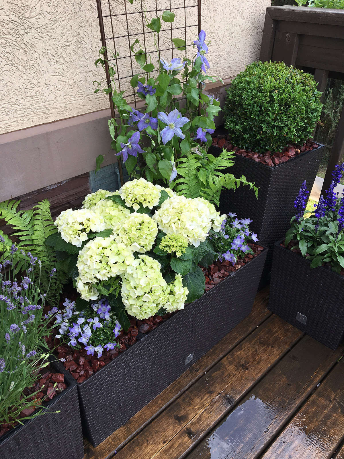 Летний сад на террасе