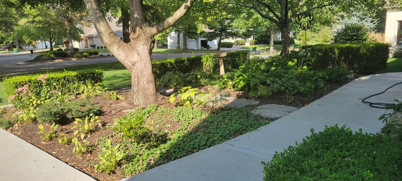 Misc Front Entry Walks/Landings $-$$$
