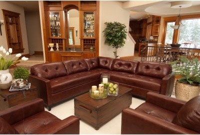 Elements Carlton 2 Piece Top Grain Leather Sectional Collection with Sectional a
