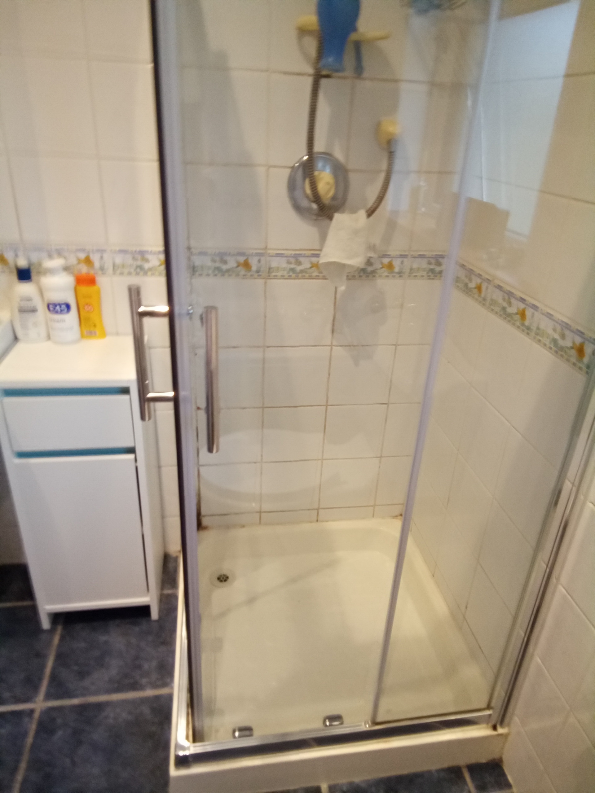 Main Bathroom Remodel & Redesign