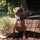maureen_burton
