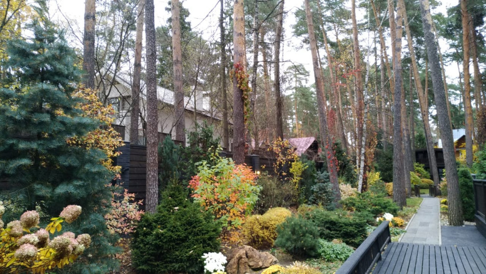 Барвиха теневой сад