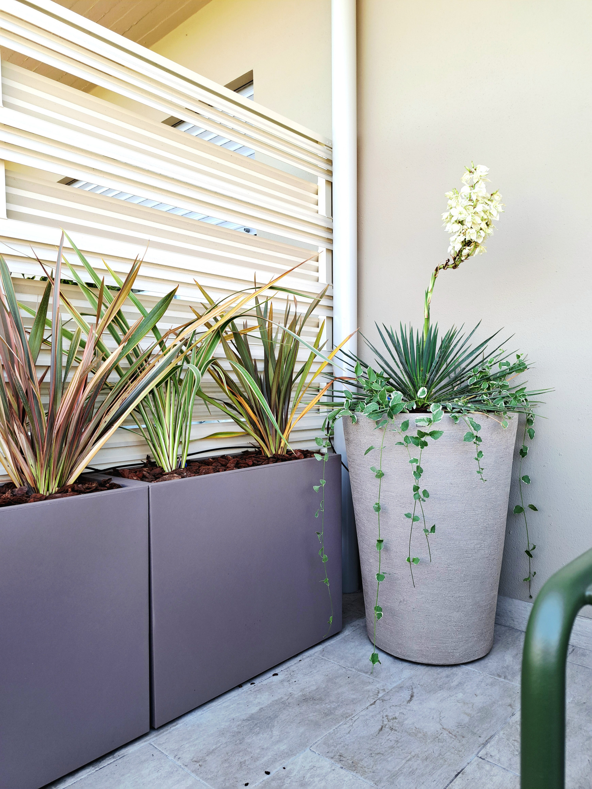 Realizzazione fioriere e vasi per un terrazzo sempreverde (o quasi)