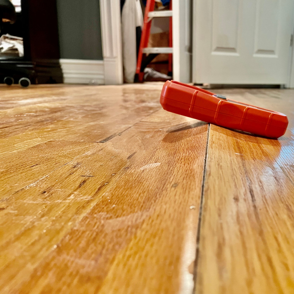 Broken Pipe & Mold Repair