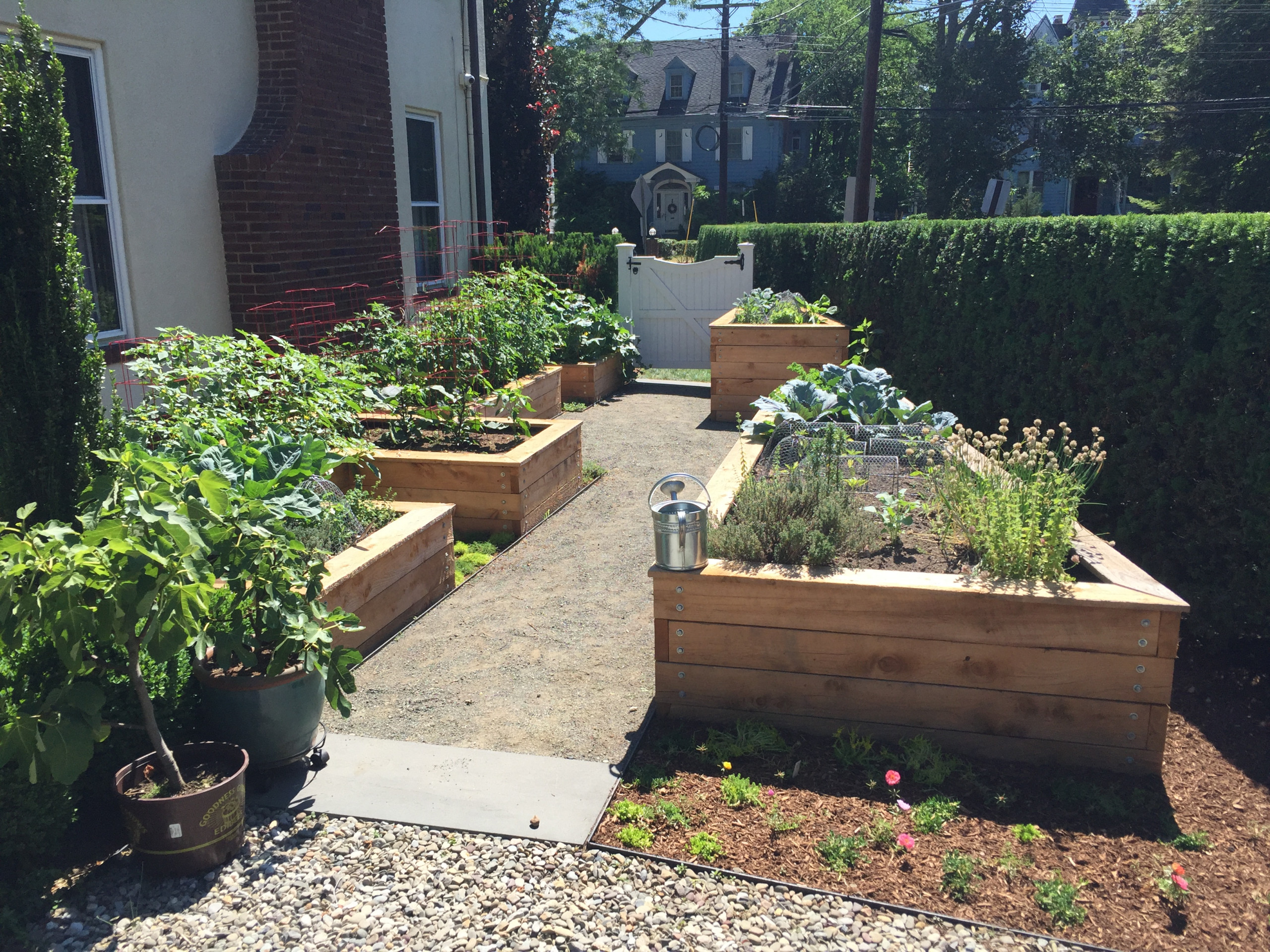 Vegetable Gardens