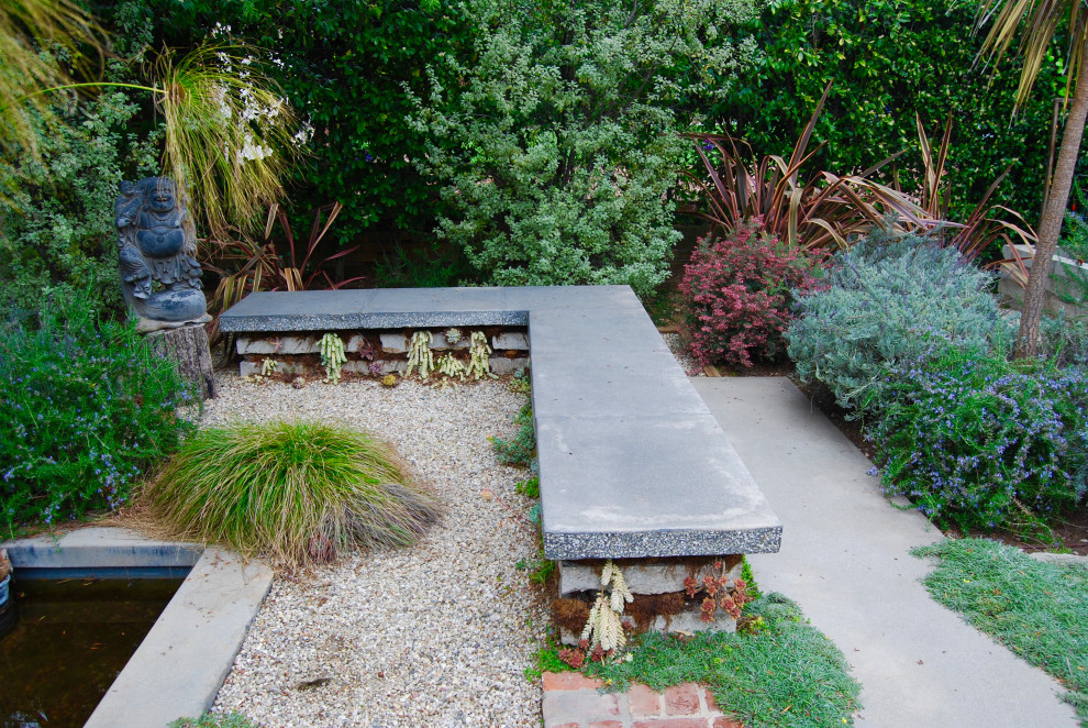 Esempio di un giardino xeriscape moderno esposto a mezz'ombra di medie dimensioni e davanti casa con pavimentazioni in cemento