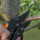 Redd's Tree Service LLC