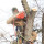 Lucero Tree Services and Construction