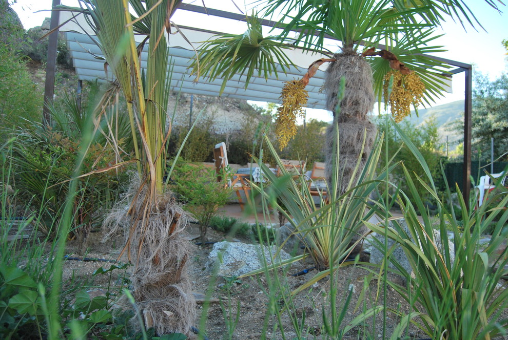 Jardines con mascotas