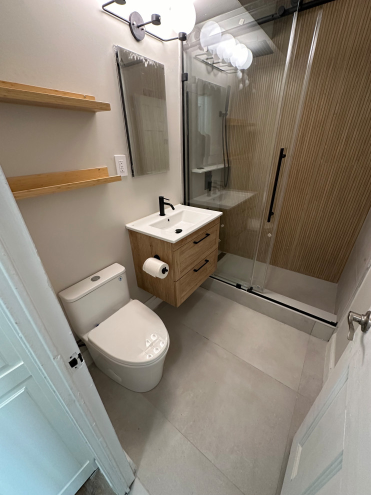 Modern Walk-In Shower Bathroom Renovation