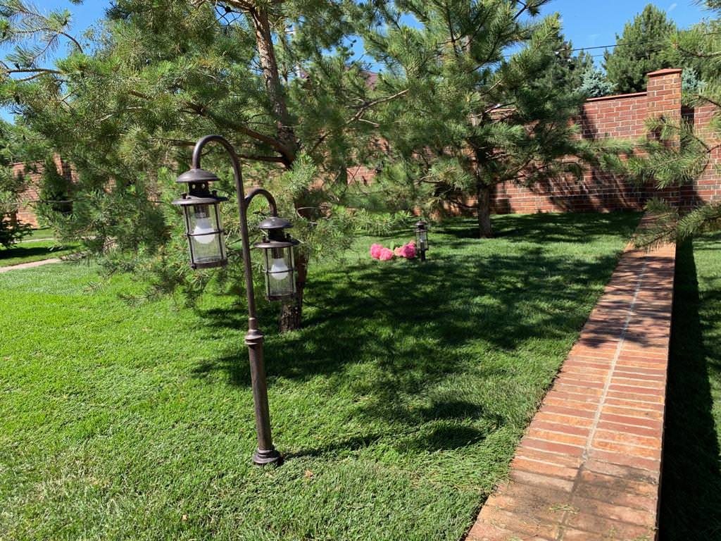 Ландшафт участка г. Ростов-на-Дону