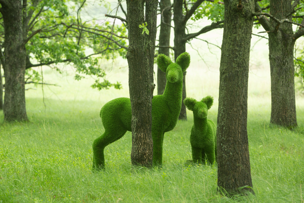 Топиари в пространстве